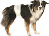 Trixie Diapers for Dogs S-M 12pcs